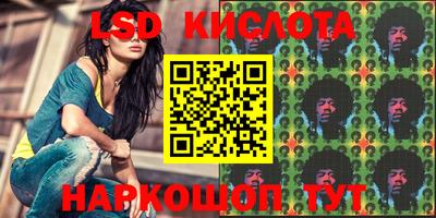 spice Славгород