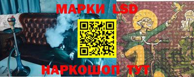 spice Славгород
