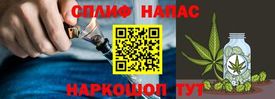 spice Славгород