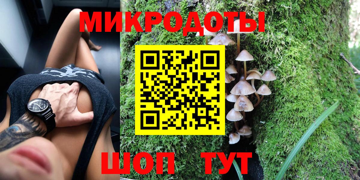 Псилоцибиновые грибы Psilocybine cubensis Орск