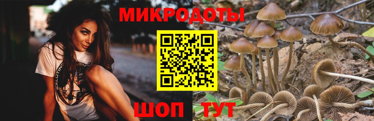 Псилоцибиновые грибы мухоморы  Вход с VPN  Орск 